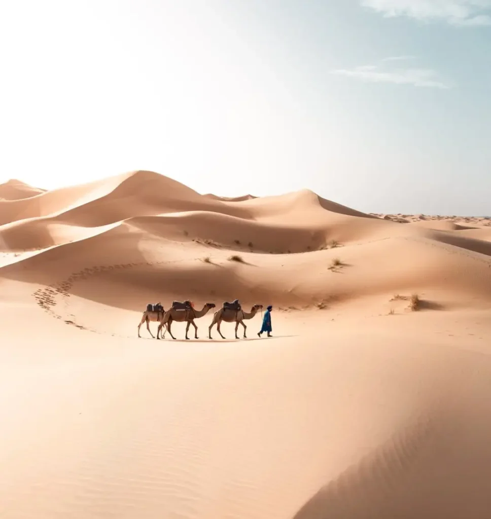 13 Days Tour from Casablanca
