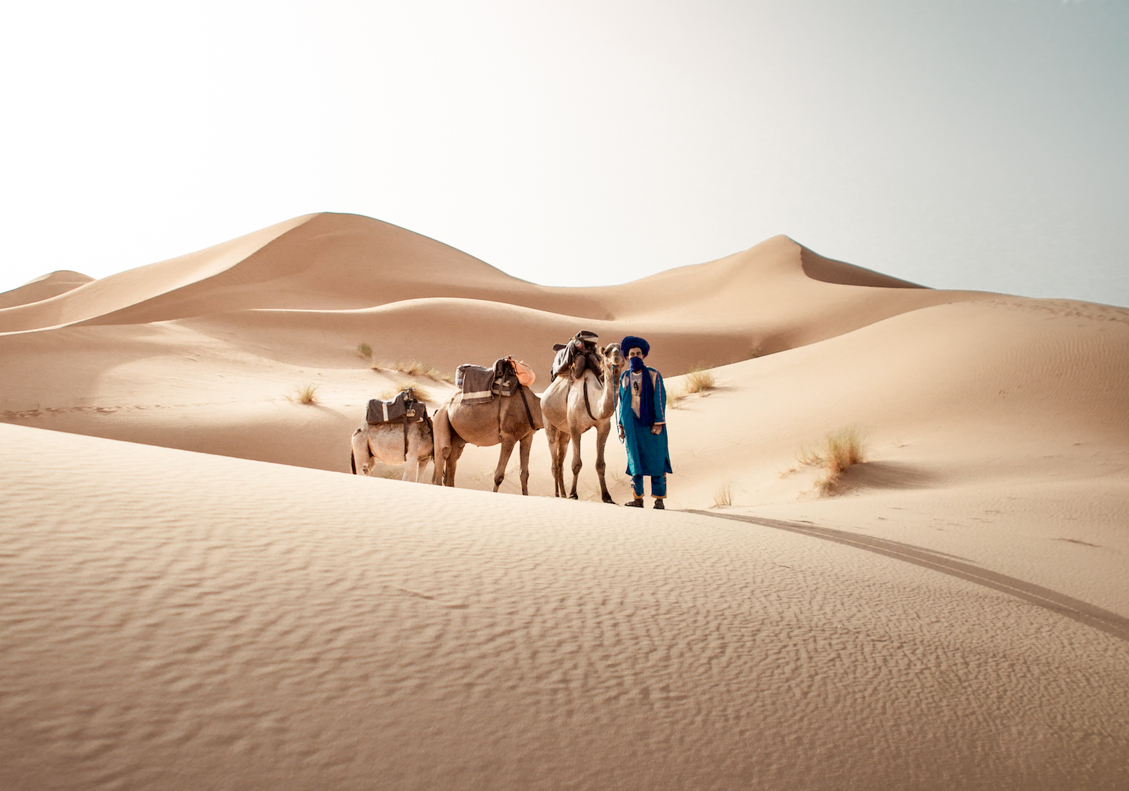 About Tours to Morocco Agency
